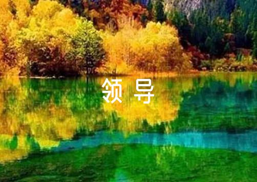 如何利用反馈制定个性化的篮球训练计划_2